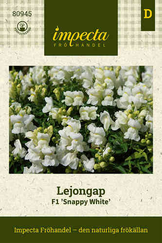 Lejongap F1 'Snappy White'