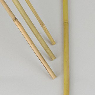 Kukkakeppi bambu 1 m, 10 kpl