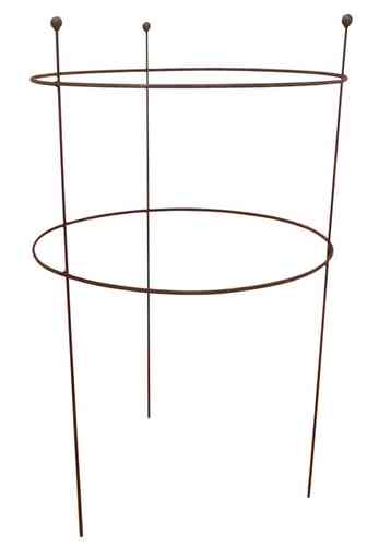 Kasvituki 'Daalia' 66 cm