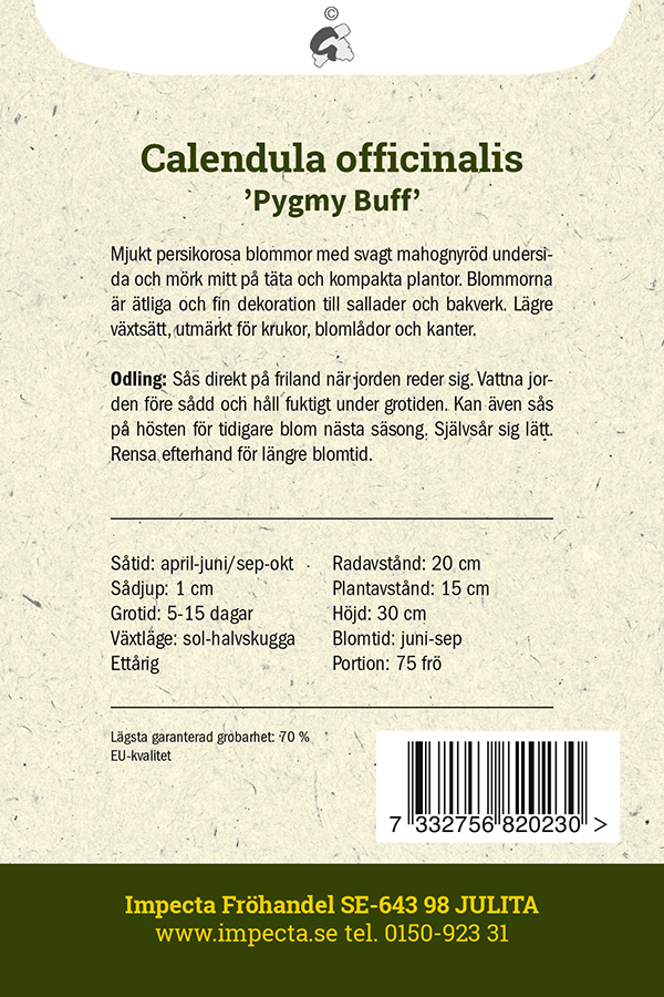 Ringblomma 'Pygmy Buff'