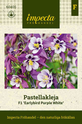 Pastellakleja F1 'Earlybird Purple White'