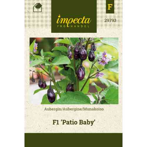 Munakoiso F1 'Patio Baby'