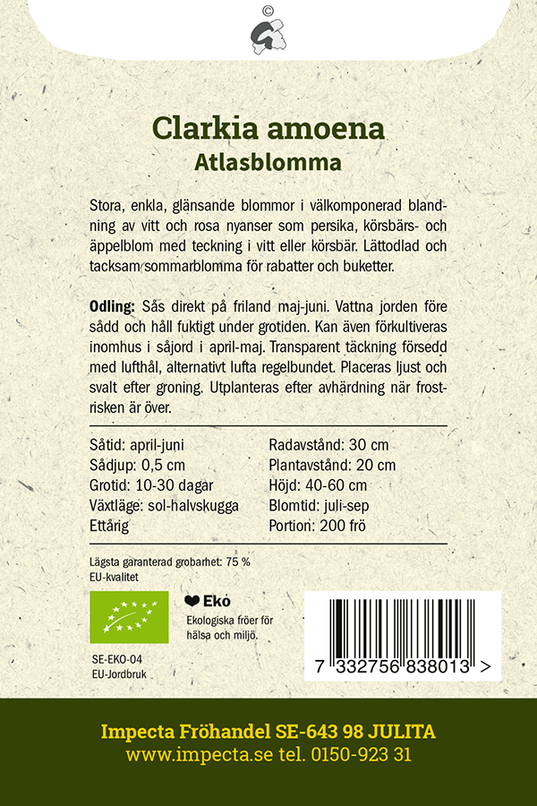 LUOMU Isosilkkikukka