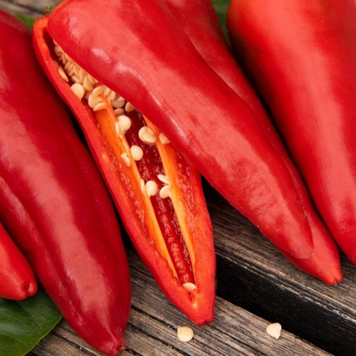 EKO Chilipeppar 'Gorria'