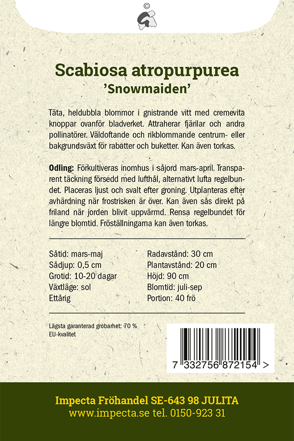 Koreatörmäkukka 'Snowmaiden'