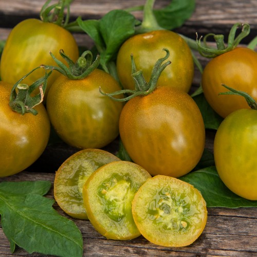EKO Körsbärstomat 'Green Grape'