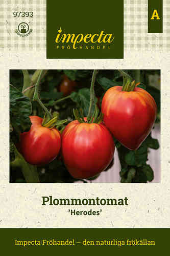 Luumutomaatti 'Herodes'