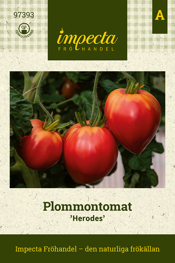 Luumutomaatti 'Herodes'