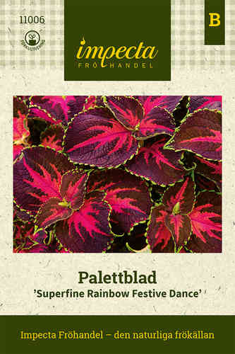 Palettblad 'Superfine Rainbow Festive Dance'