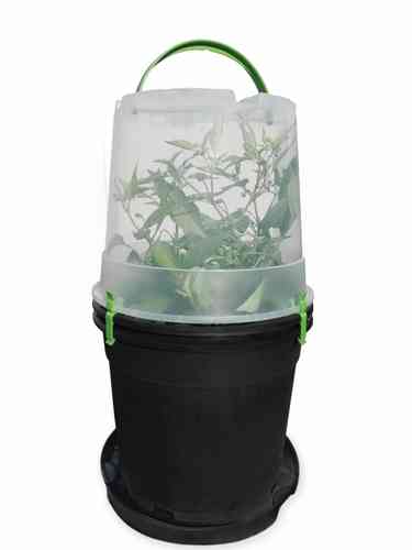 Grow Home Bucket -kotiviljelyruukku