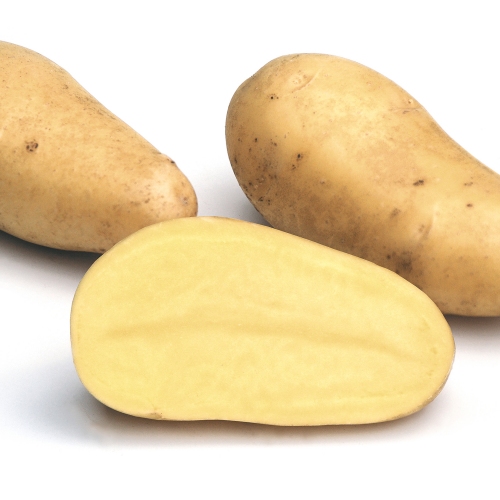 Annabelle sättpotatis 1 kg