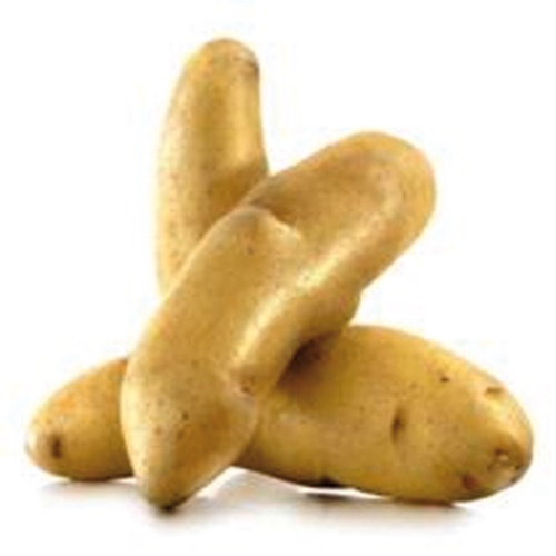 Sparrispotatis Asparges 3 kg