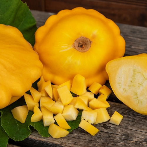 Kesäkurpitsa 'Pâtisson Jaune'