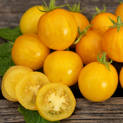 LUOMU Pensastomaatti 'Tigerette Cherry'