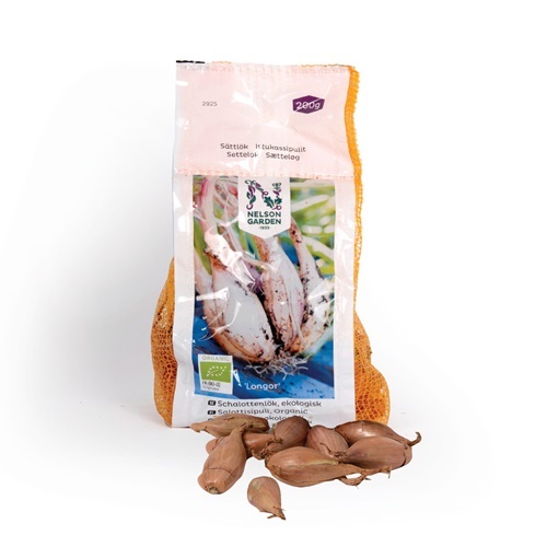EKO Shalottenlök 'Longor' 200 g