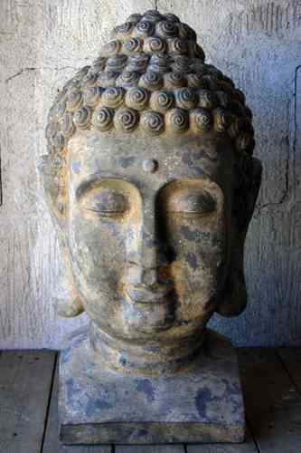 Buddhan pää, antiikinruskea