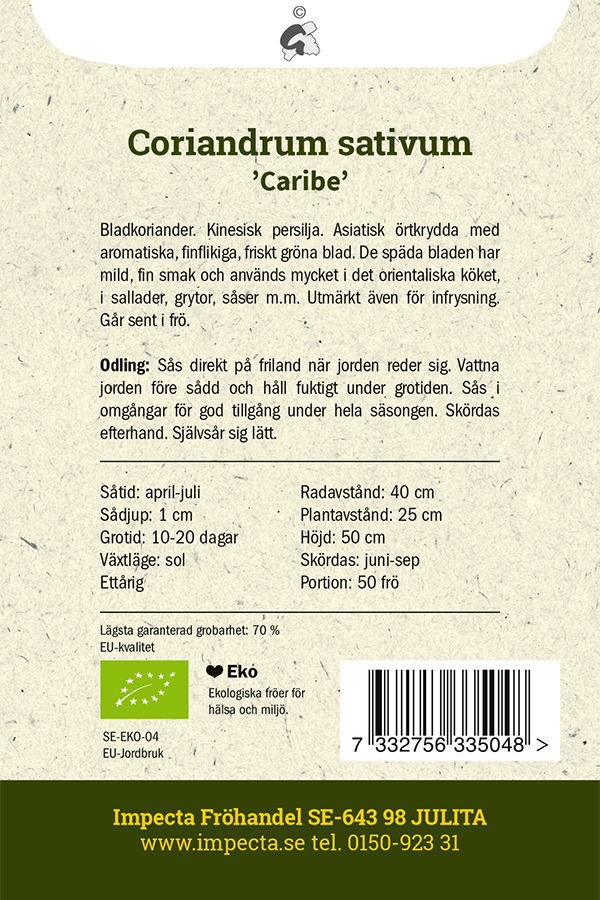 Koriander 'Caribe'