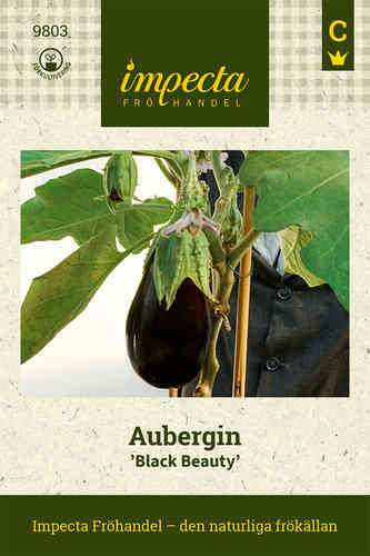 Munakoiso 'Black Beauty'