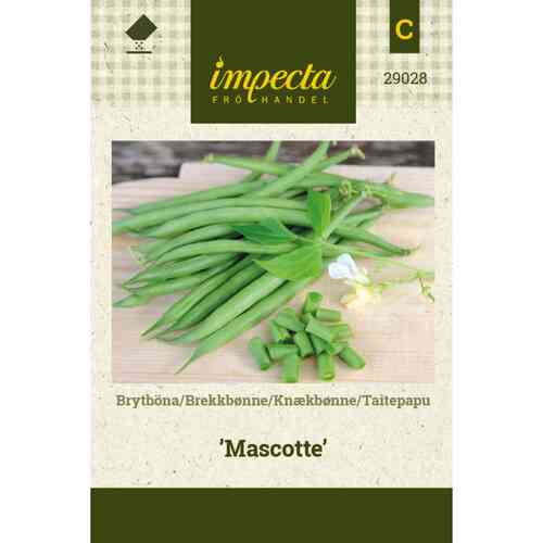 Taitepapu 'Mascotte'