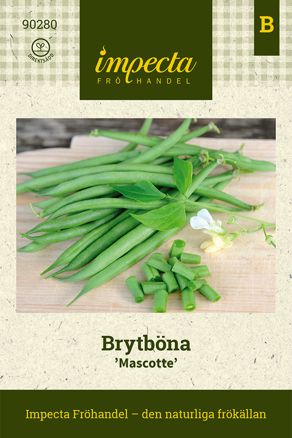 Brytböna 'Mascotte'