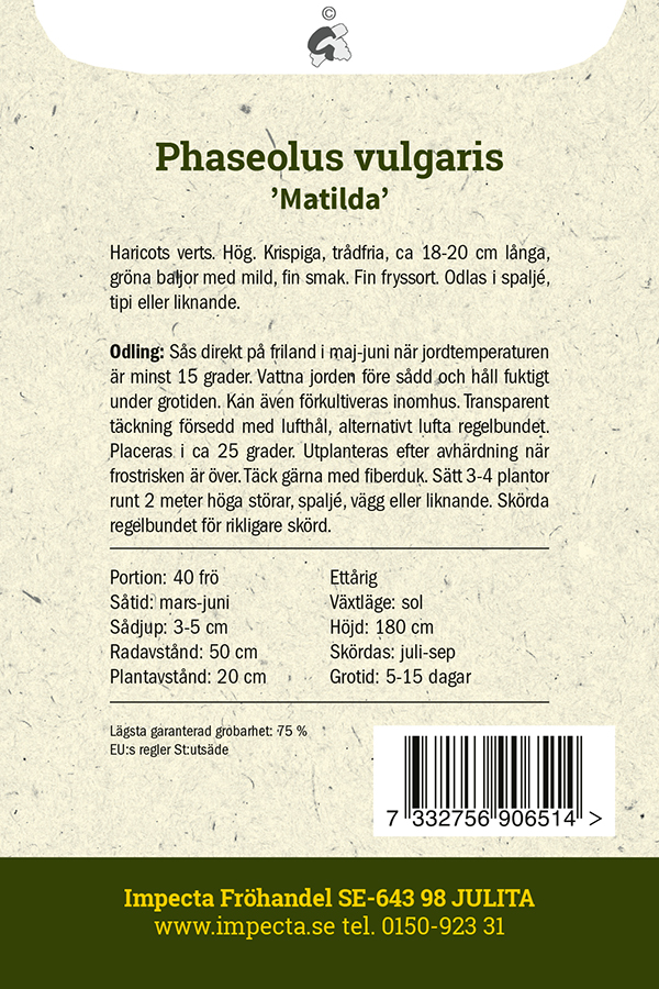 Salkotaitepapu 'Matilda'