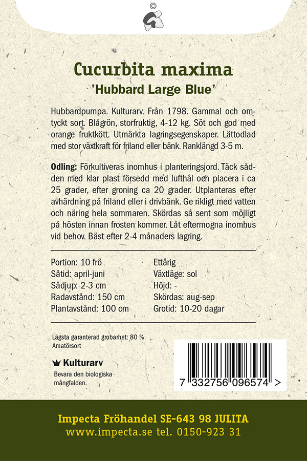 Hubbardpumpa 'Hubbard Large Blue'