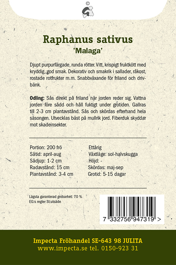 Retiisi 'Malaga'