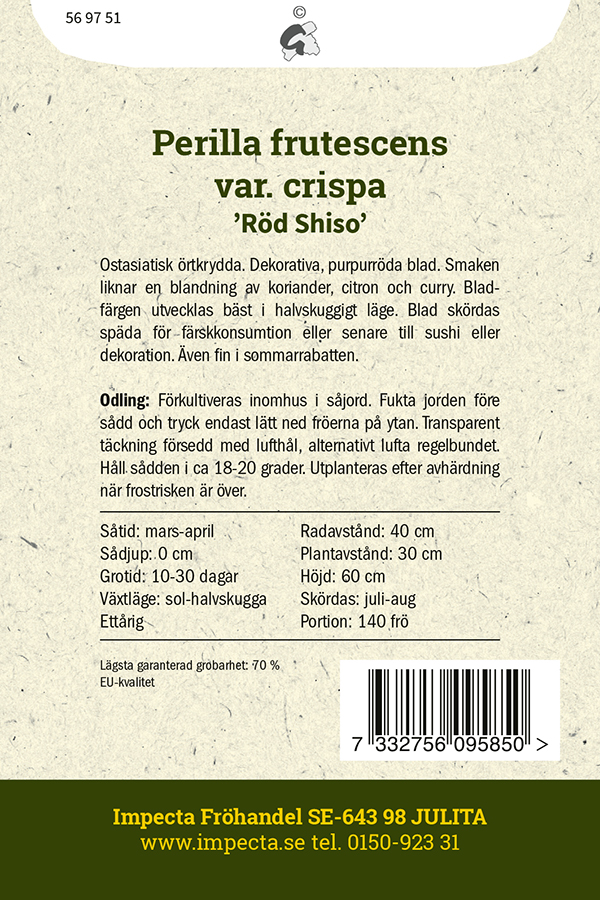 Kinesisk Bladmynta 'Röd Shiso'