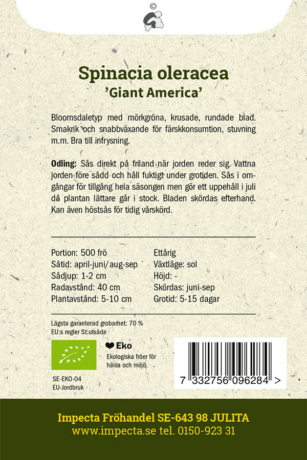 LUOMU Pinaatti 'Giant America'