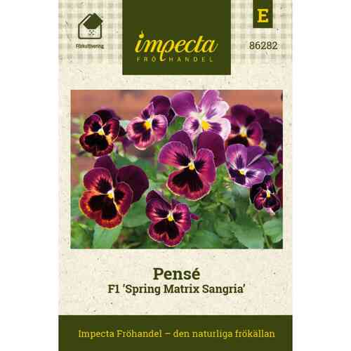 Tarhaorvokki F1 'Spring Matrix Sangria' Tarhaorvokki F1 'Spring Matrix Sangria'