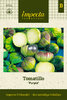 Tomatillo 'Purple'