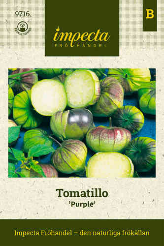 Tomatillo 'Purple'