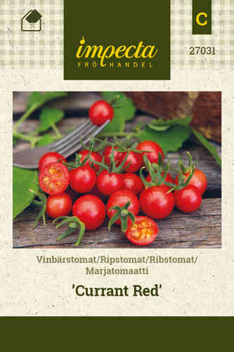 Viinimarjatomaatti 'Currant Red'