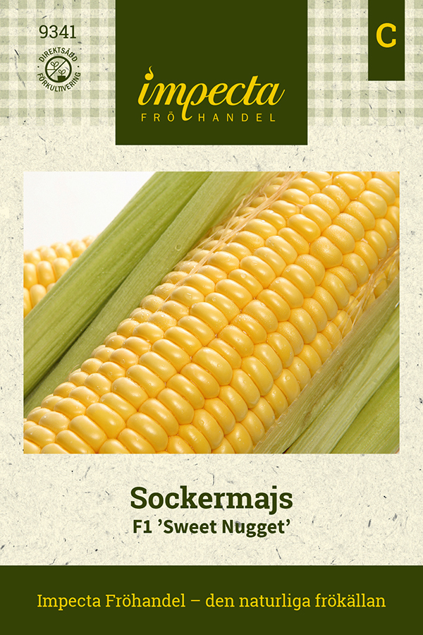 Sockermajs F1 'Sweet Nugget'