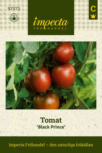 Tomat 'Black Prince'