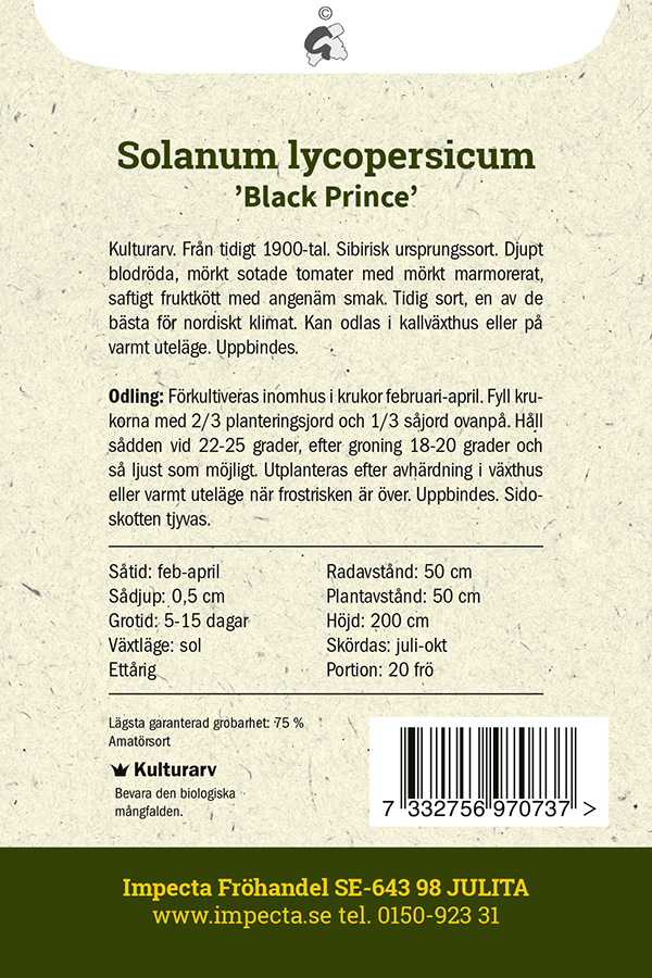 Tomat 'Black Prince'