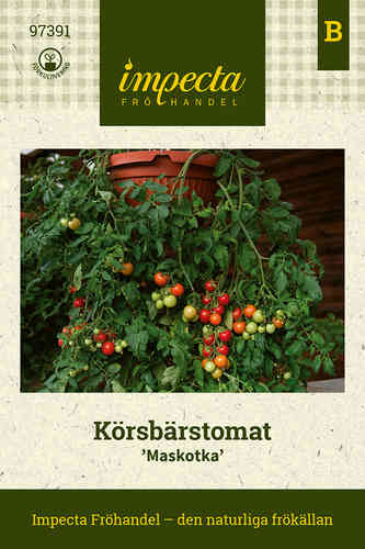 Körsbärstomat 'Maskotka'