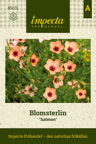 Blomsterlin 'Salmon'