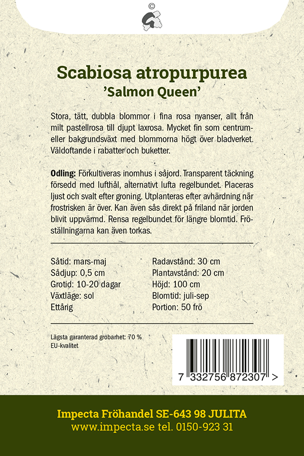 Koreatörmäkukka 'Salmon Queen'
