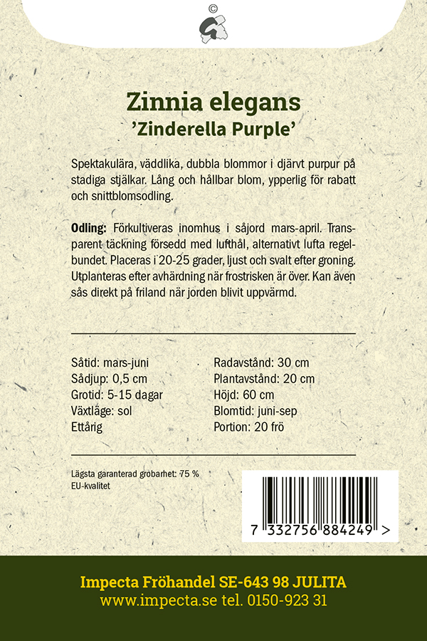Zinnia 'Zinderella Purple'