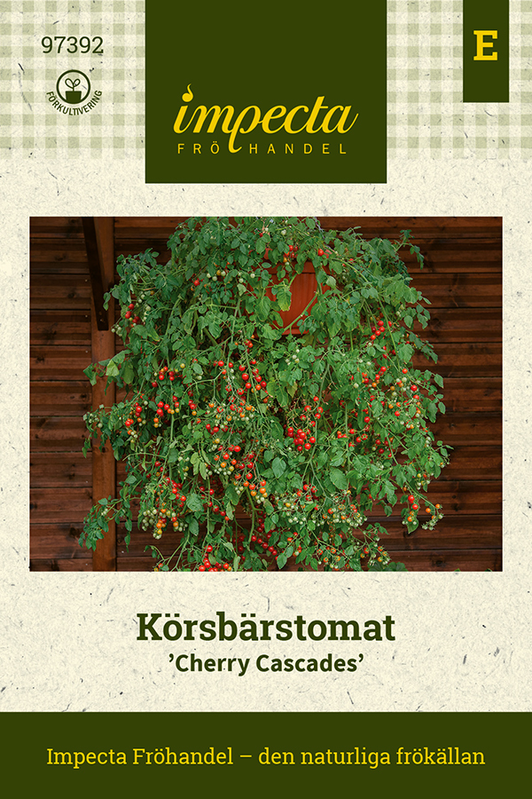 Körsbärstomat 'Cherry Cascades'