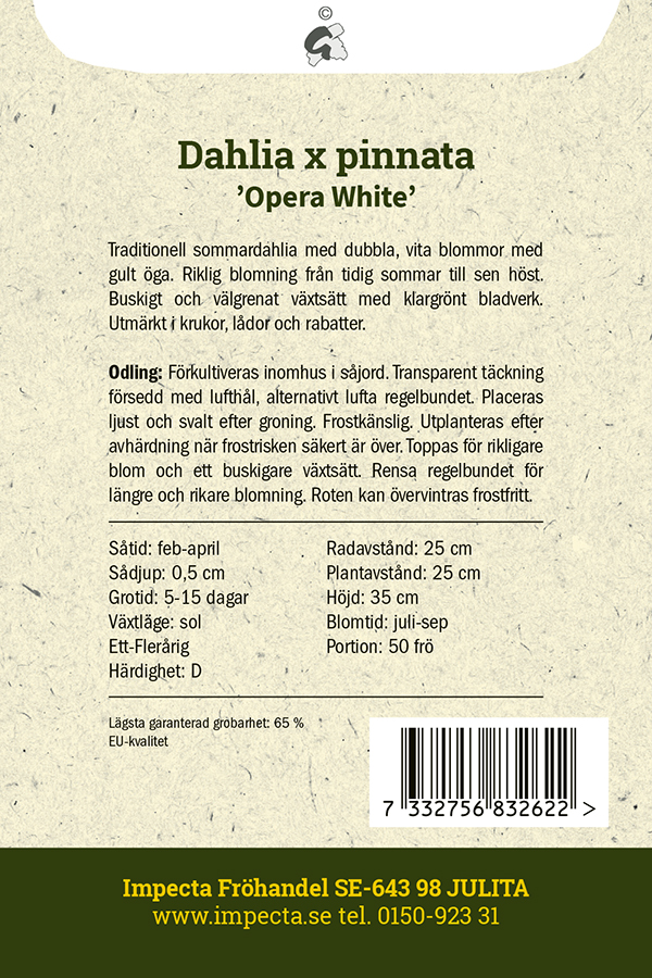 Kesädaalia 'Opera White'