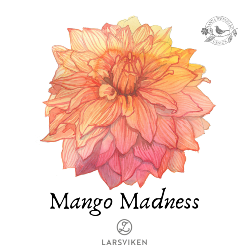 Koristedaalia 'Mango Madness' - HW Collection