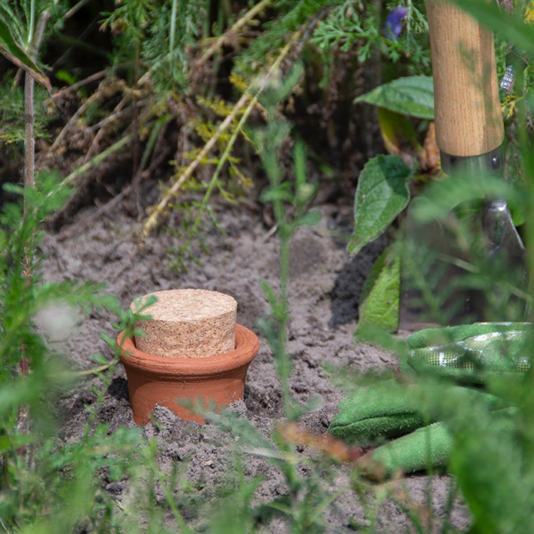 Kastelupullo 'Olla' L