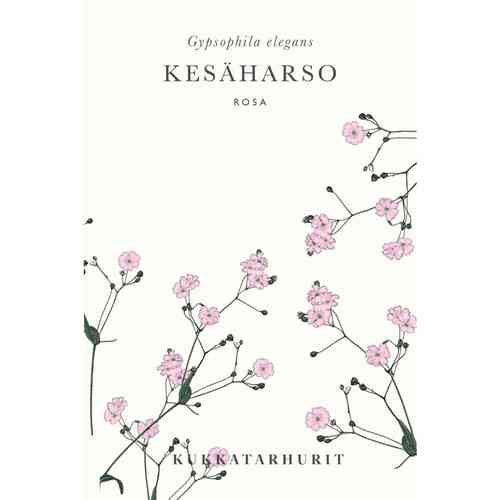 Kesäharso 'Rosa'