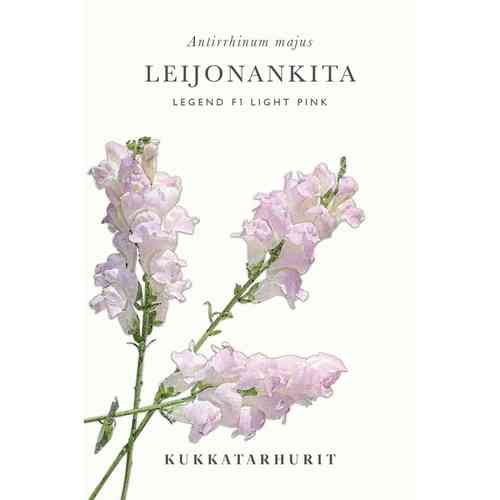 Leijonankita 'Legend F1 Light Pink'