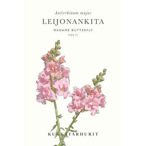 Leijonankita 'Madame Butterfly Pink F1'