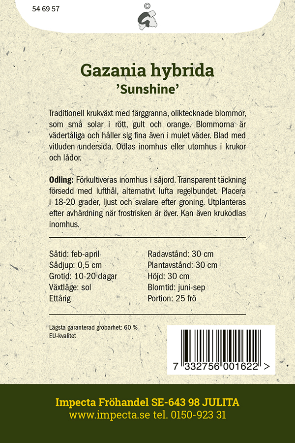 Keltatimanttikukka 'Sunshine'