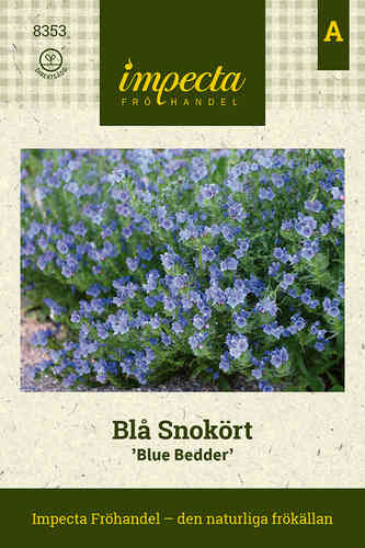 Blå Snokört 'Blue Bedder'