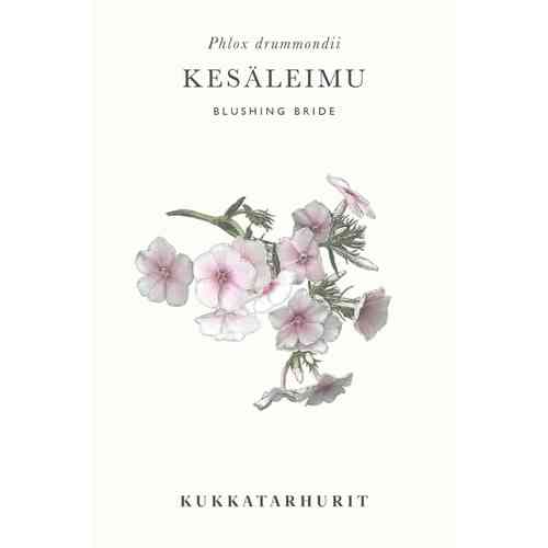 Kesäleimu ’Blushing Bride'